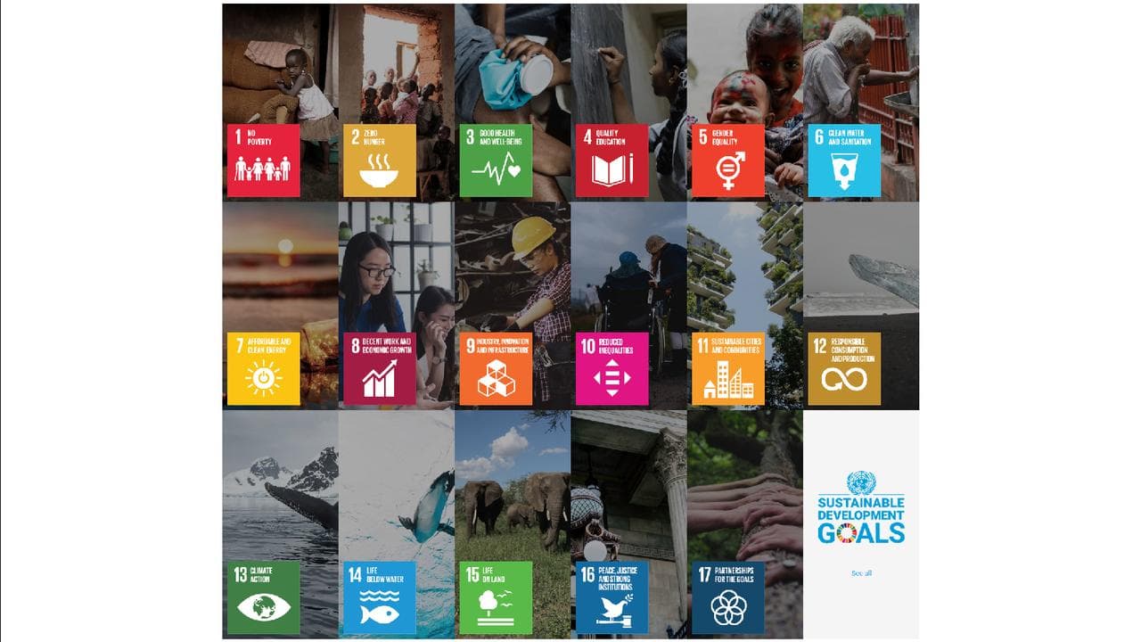 the UN’s Sustainable Development Goals