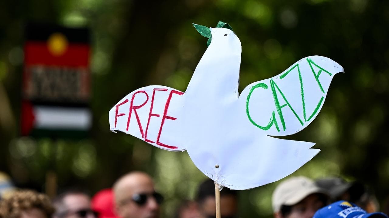 A Pro-Palestine demonstration in Sydney (file image)