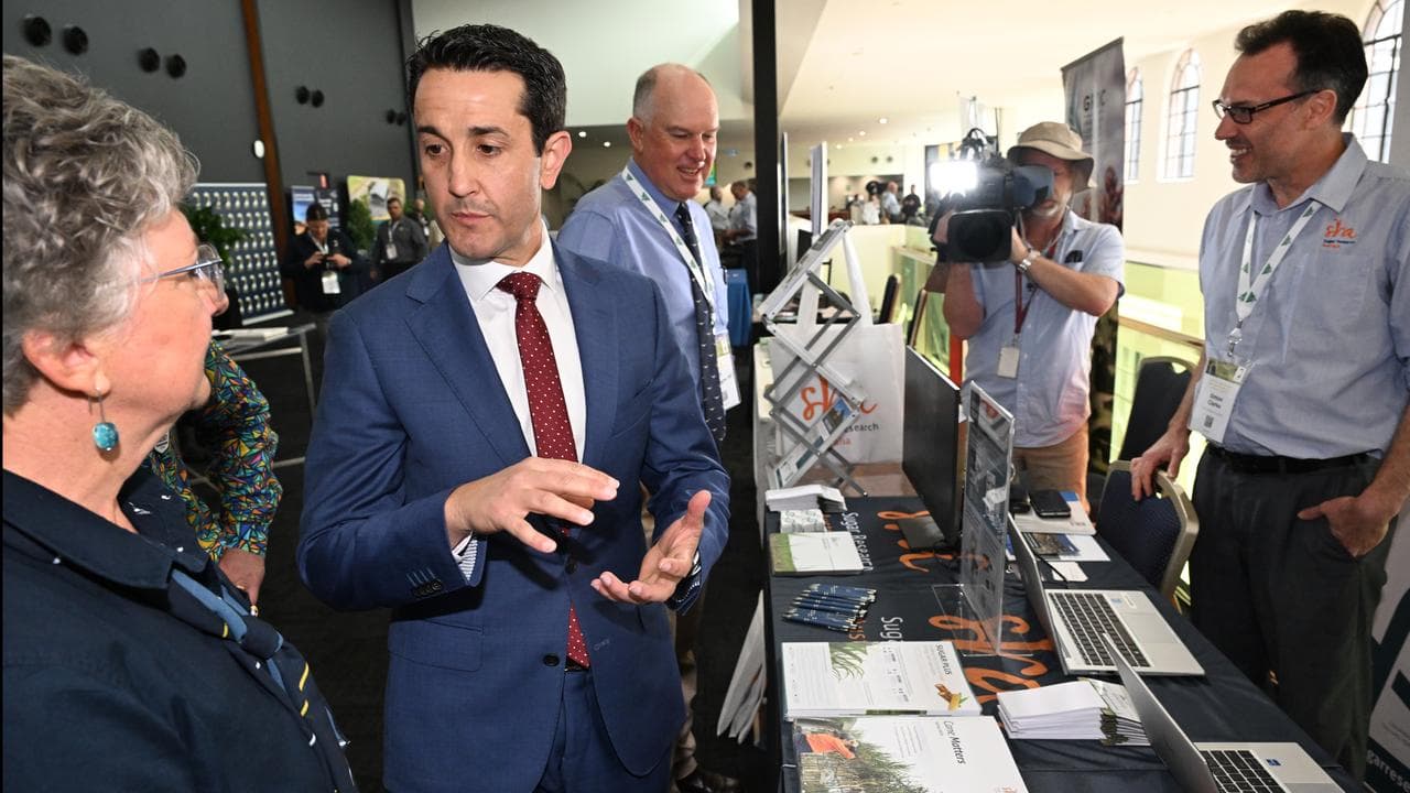 David Crisafulli on campaign trail