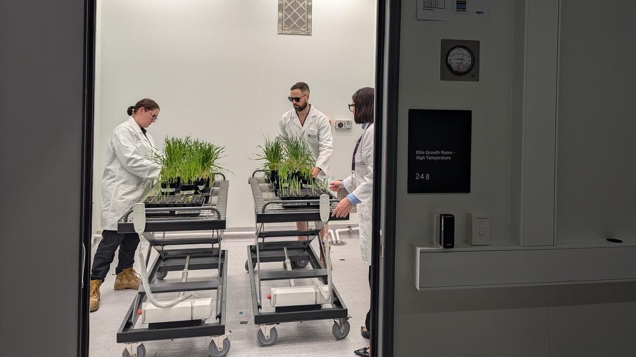 The Plant Futures Facility