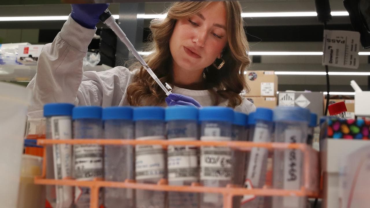 A medical researcher at work.