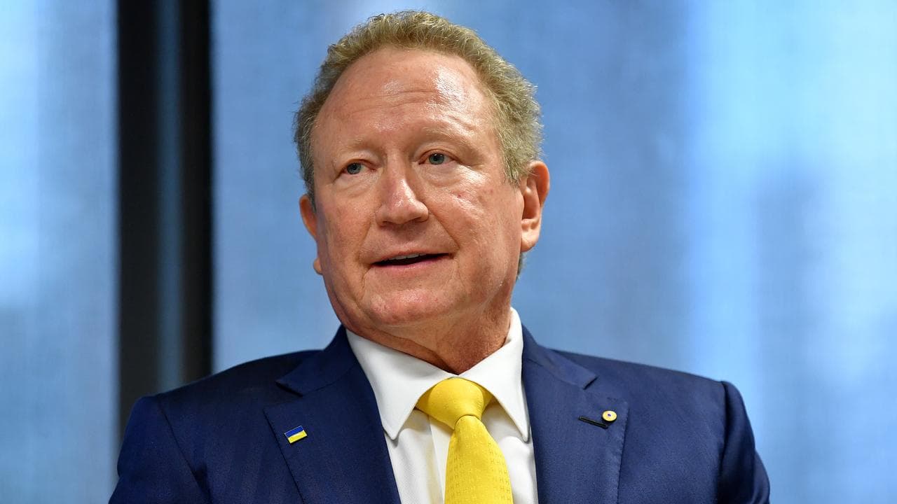 Fortescue Metals chairman Andrew Forrest (file image)