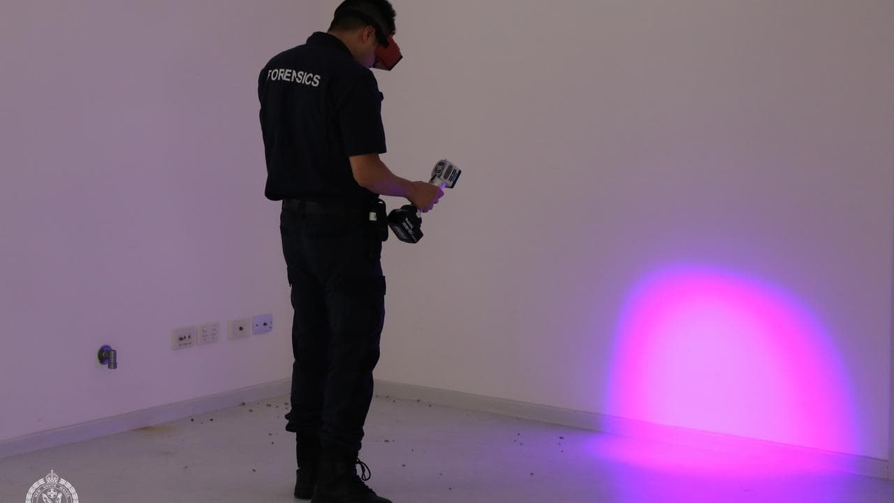 NSW police examining a home at Greenacre