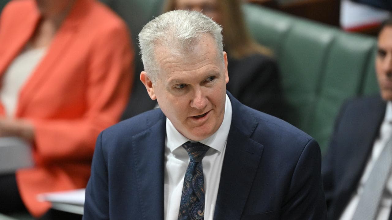 Tony Burke speaks in parliament