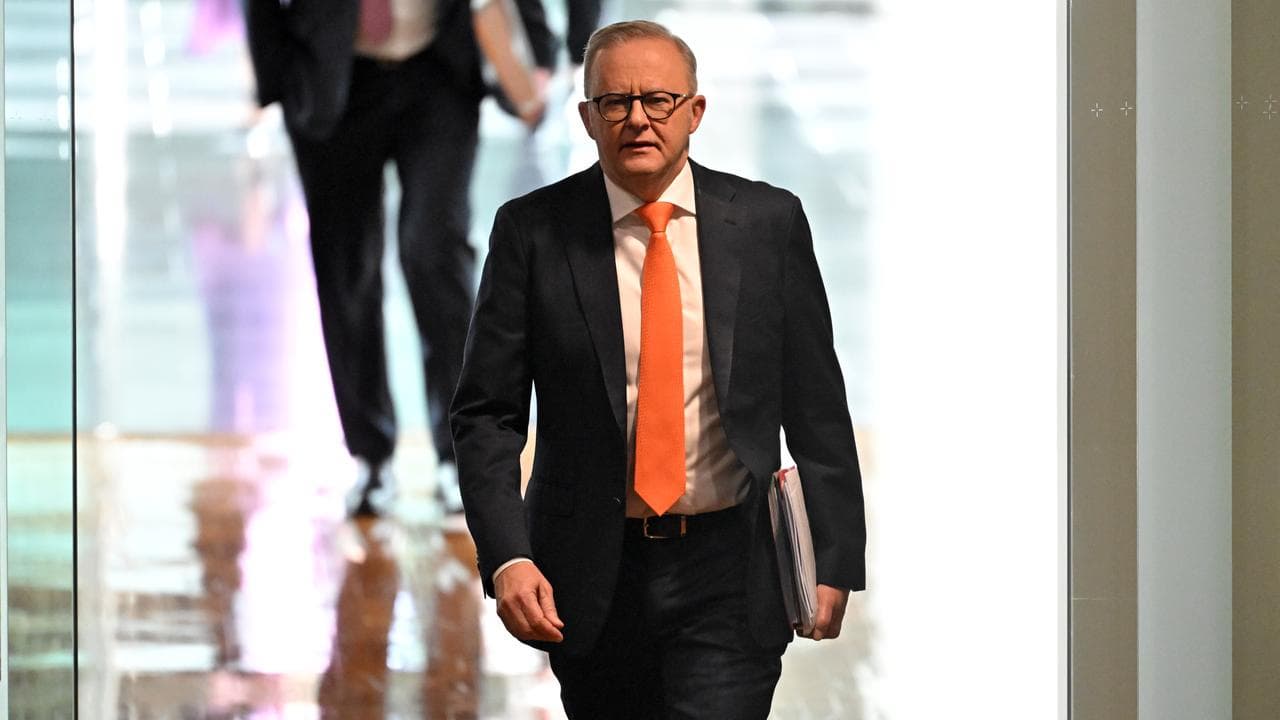 Prime Minister Anthony Albanese (file image)