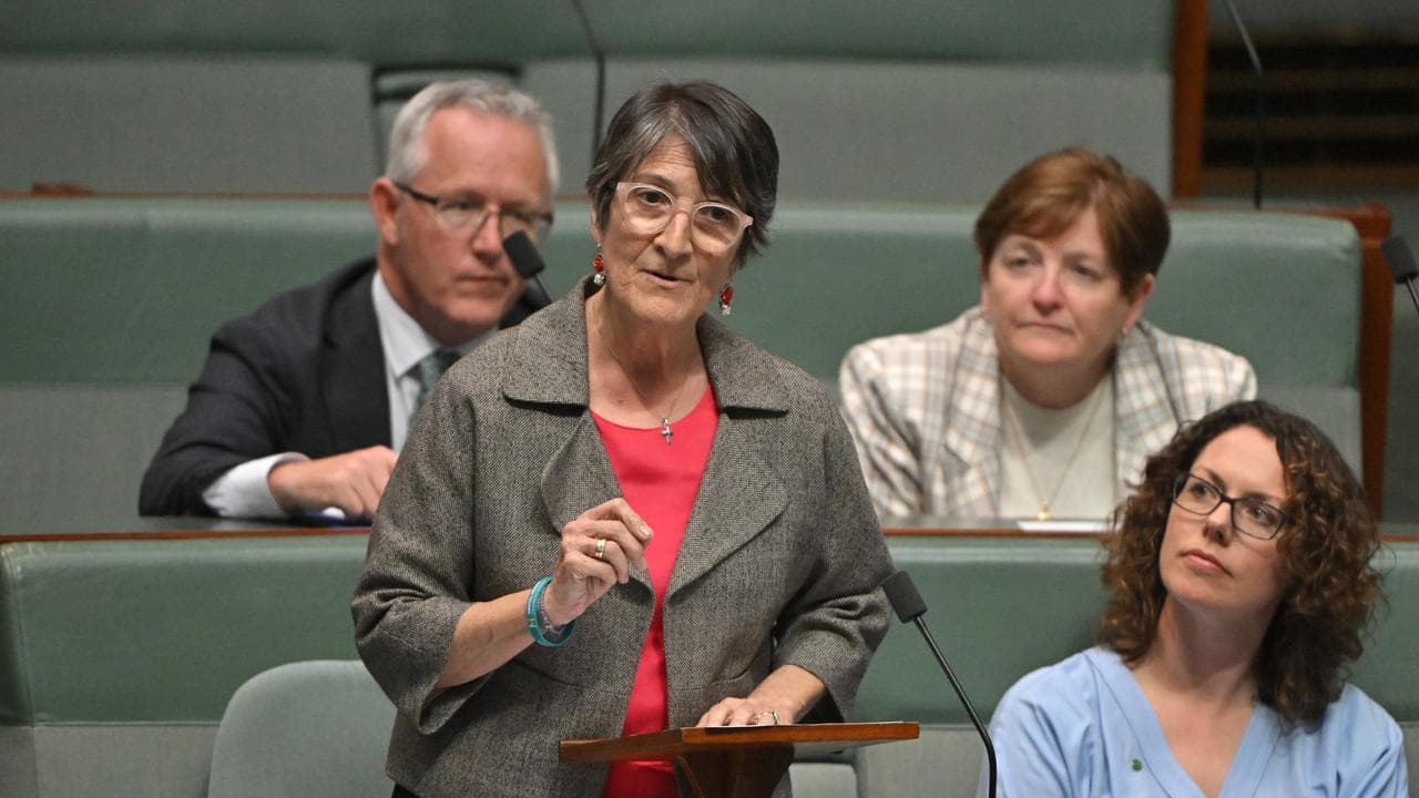 Labor MP Maria Vamvakinou (file image)