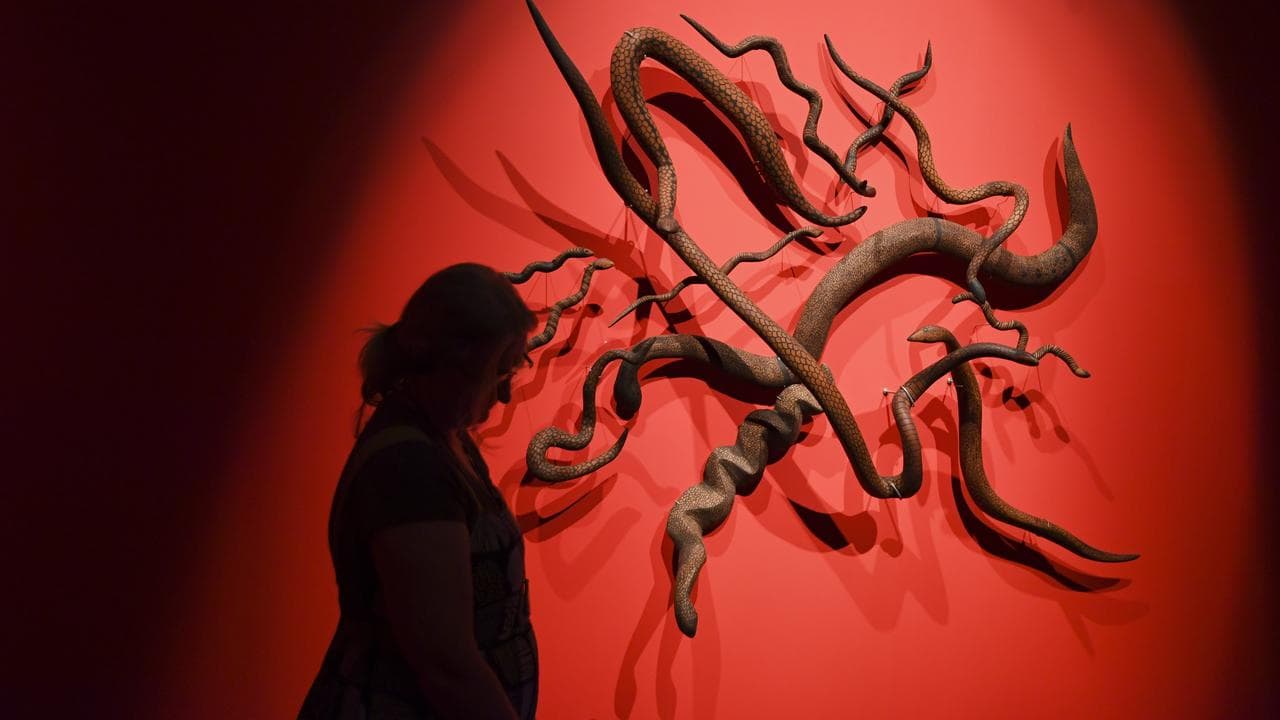 Songlines: Tracking the Seven Sisters exhibition