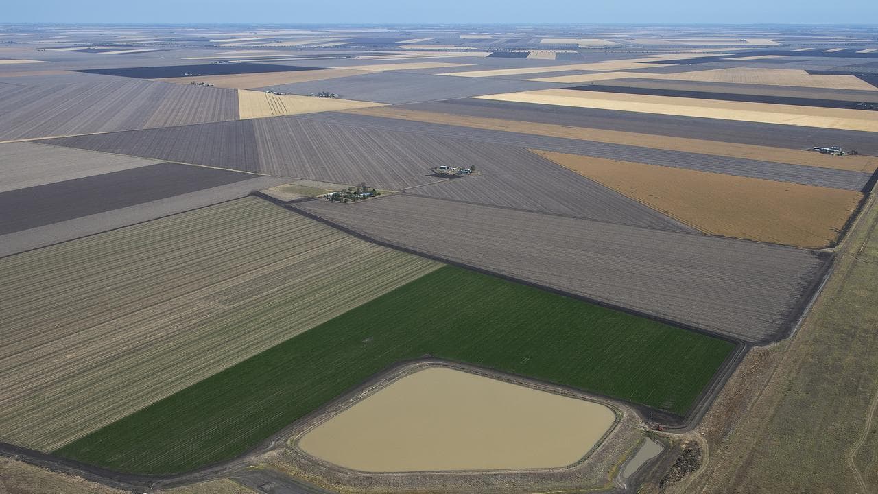 Agricultural crops are seen on the Darling Downs