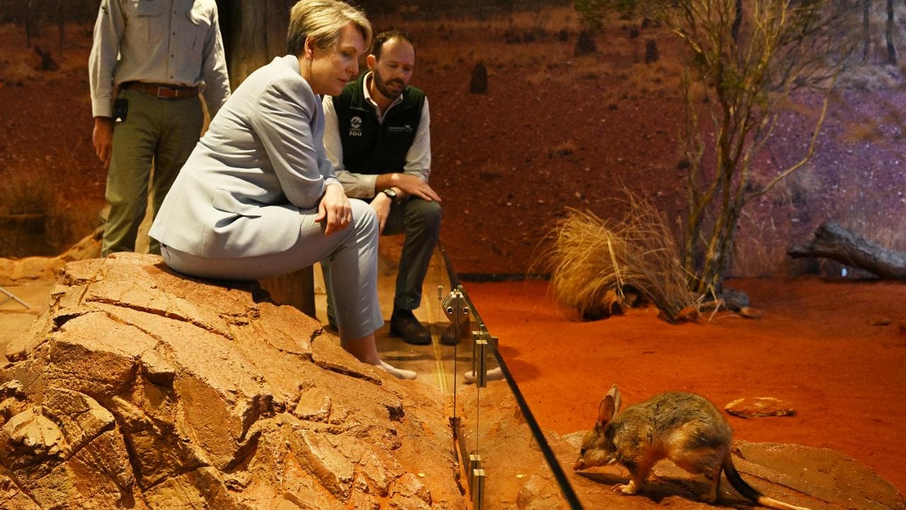 Tanya Plibersek, Andrew Elphinstone and Cameron Kerr
