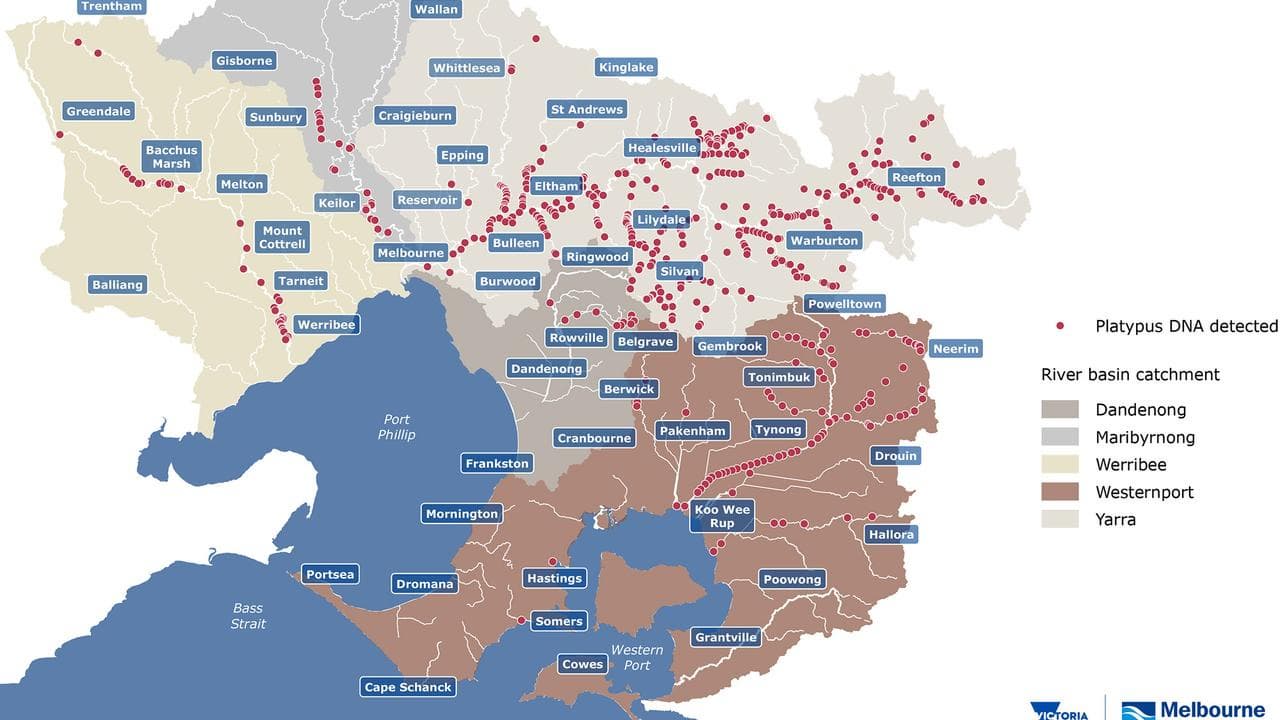 A map showing platypus detection