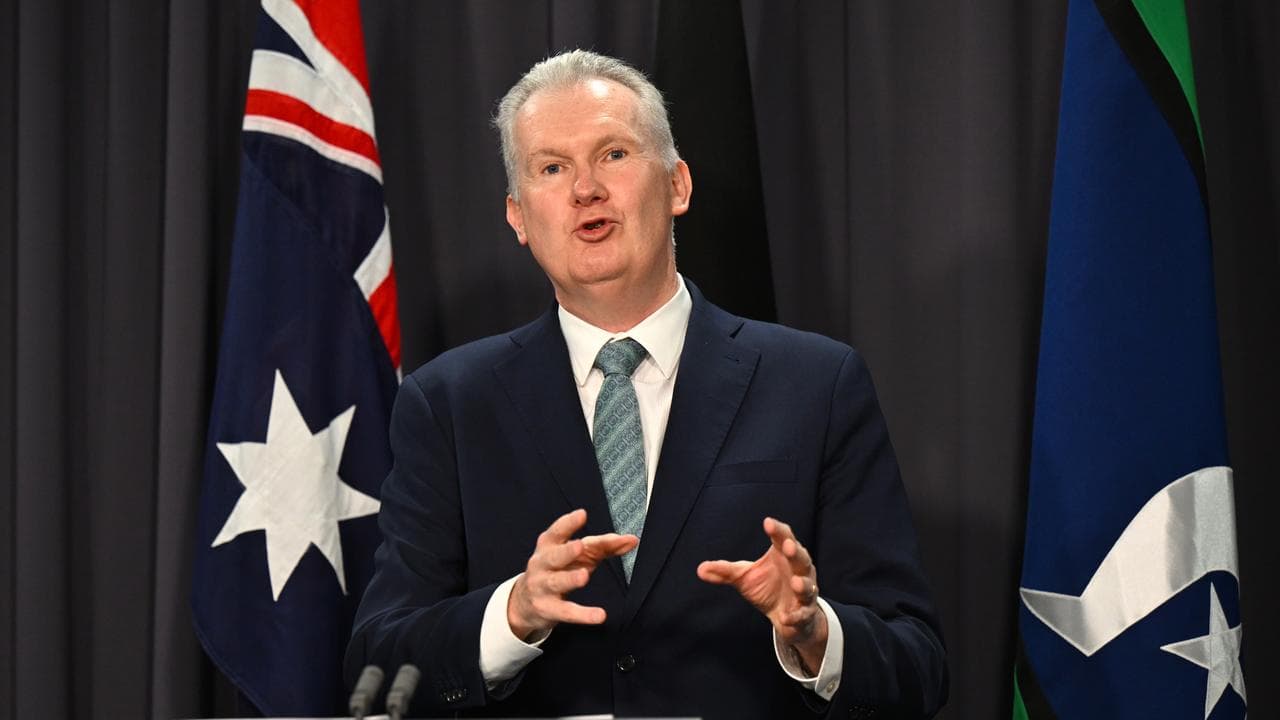 Home Affairs Minister Tony Burke (file image)