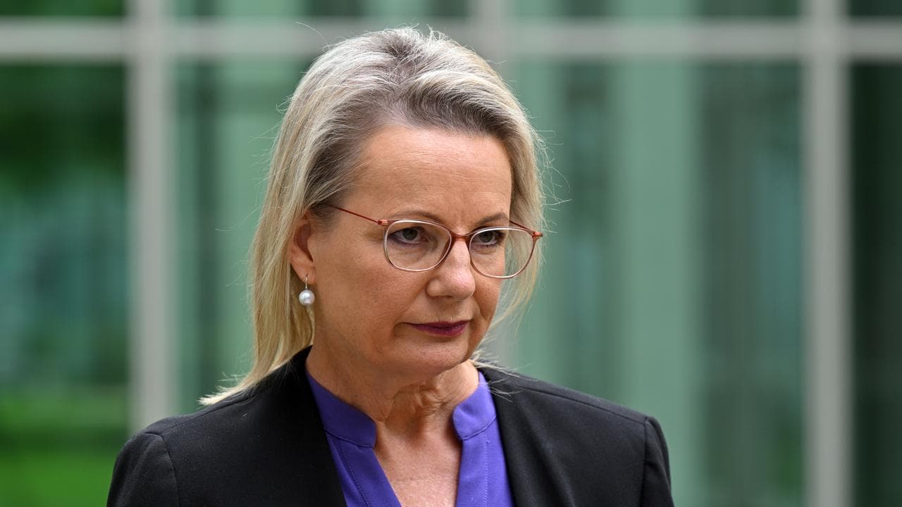 Sussan Ley (file image)