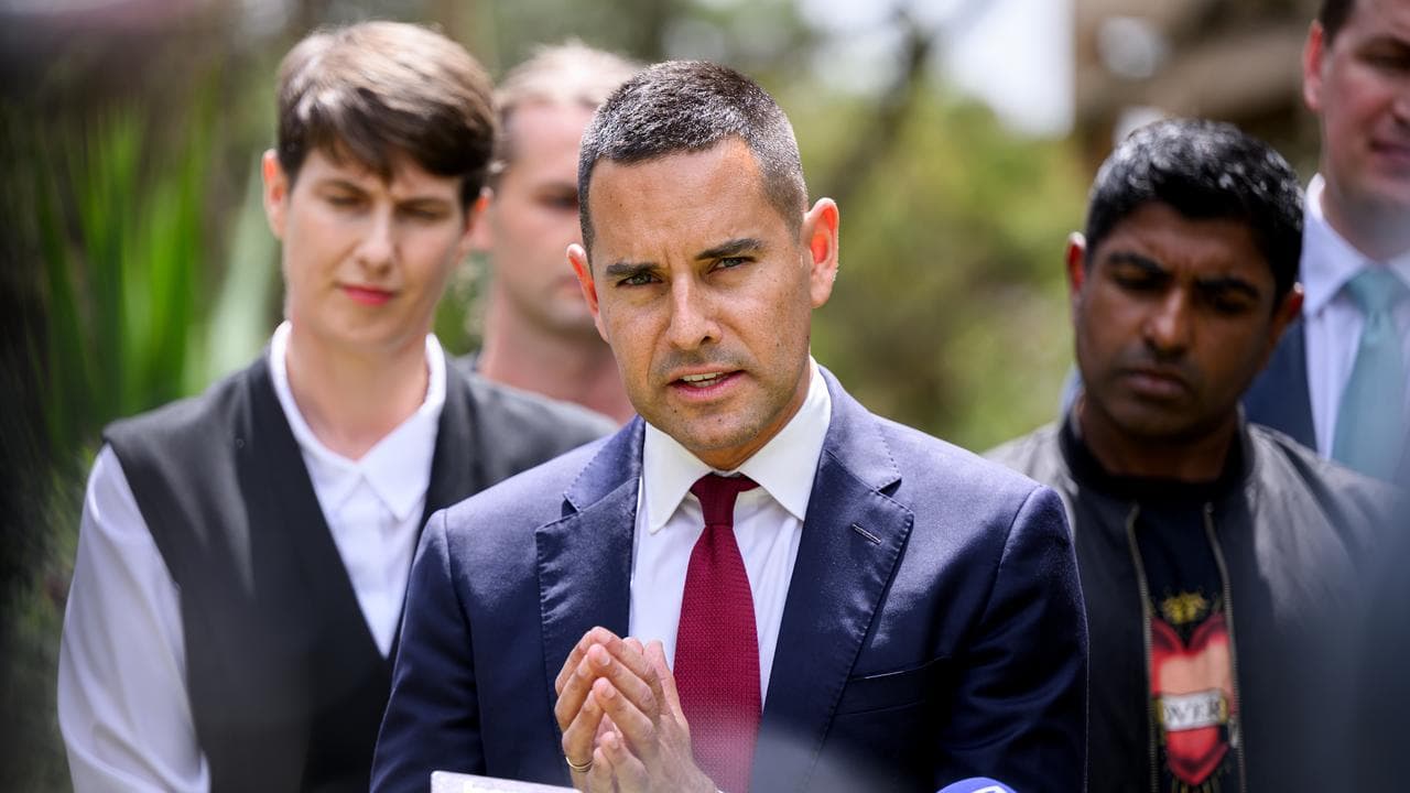 Independe MP for Sydney Alex Greenwich