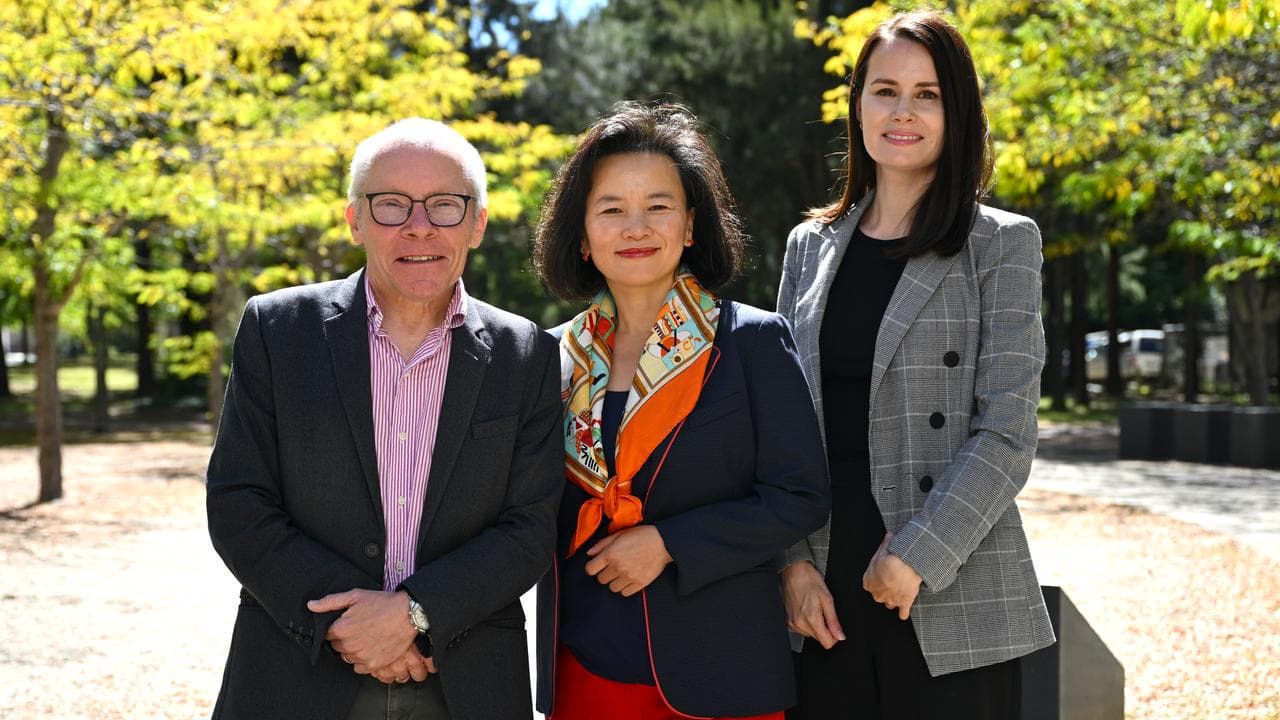 Sean Turnell, Cheng Lei and Kylie Moore-Gilbert (file image)