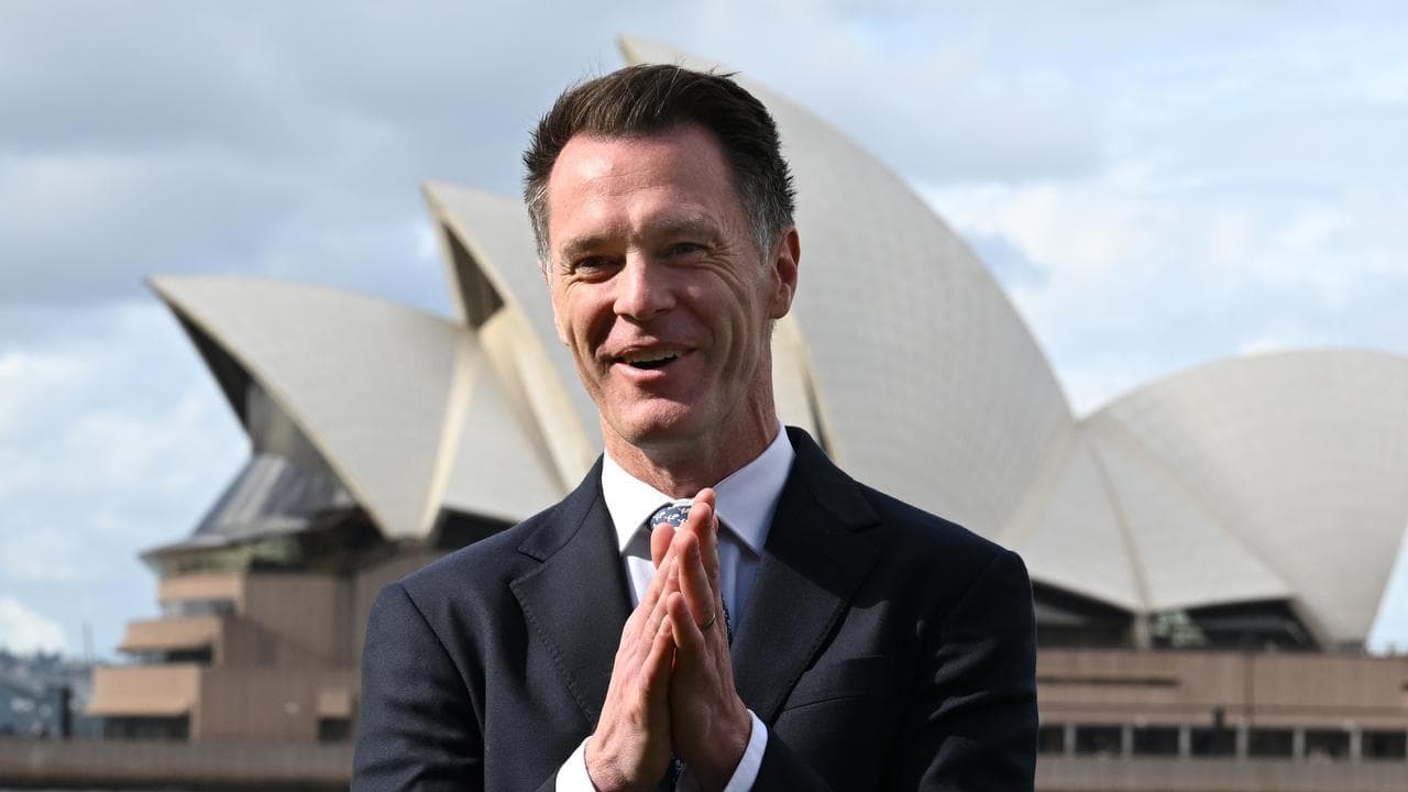 NSW Premier Chris Minns (file image)