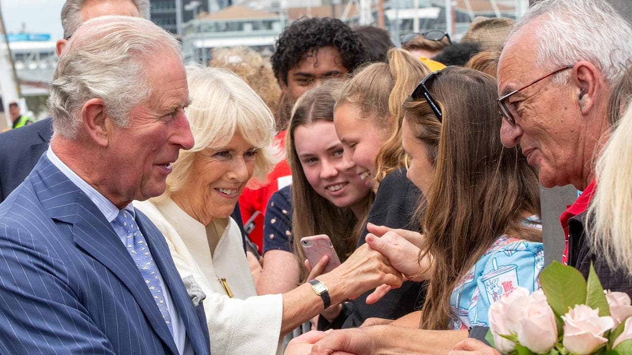 Prince Charles and Queen Camilla (file image)