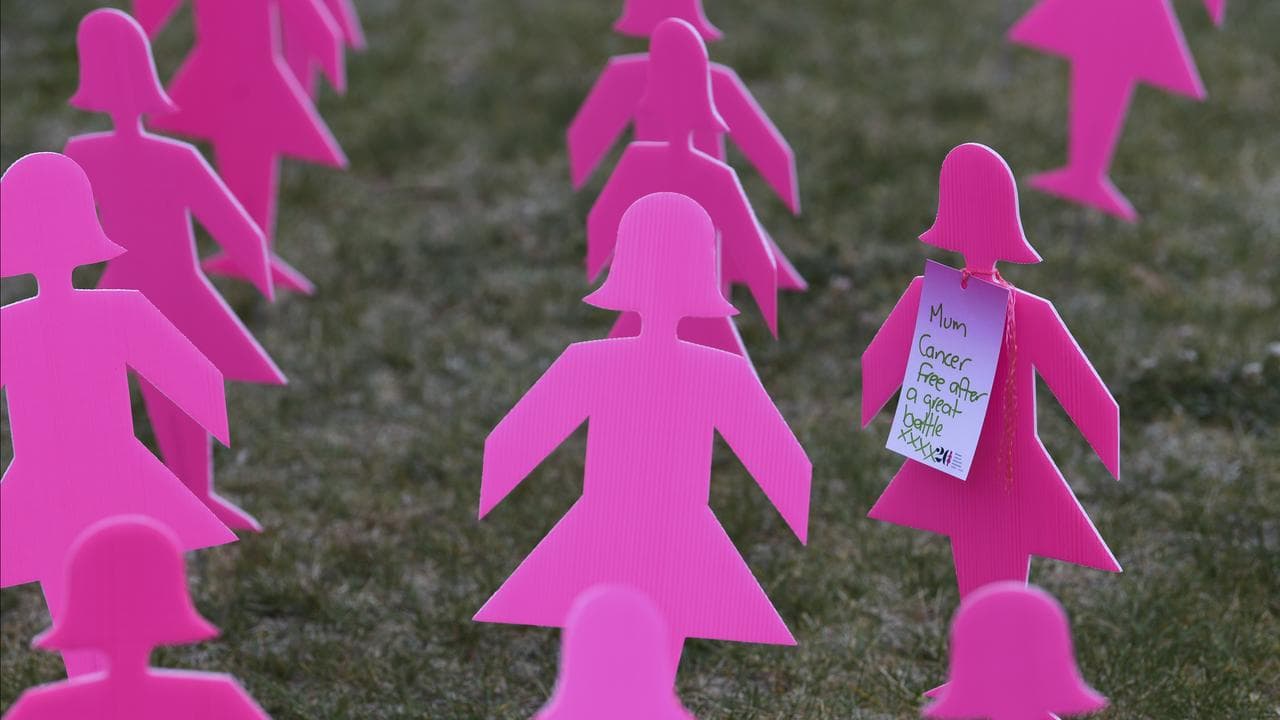 Pink silhouettes staked into the ground for a breast cancer memorial