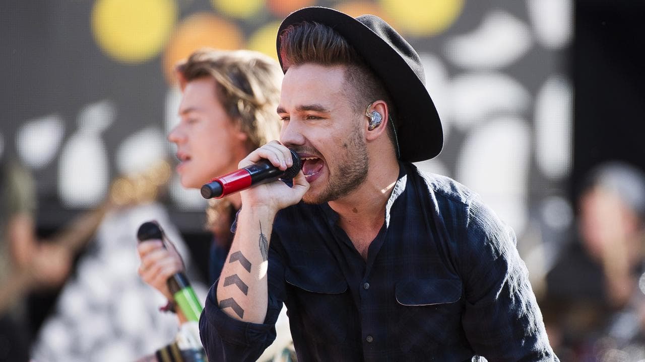 Liam Payne performs in 2015