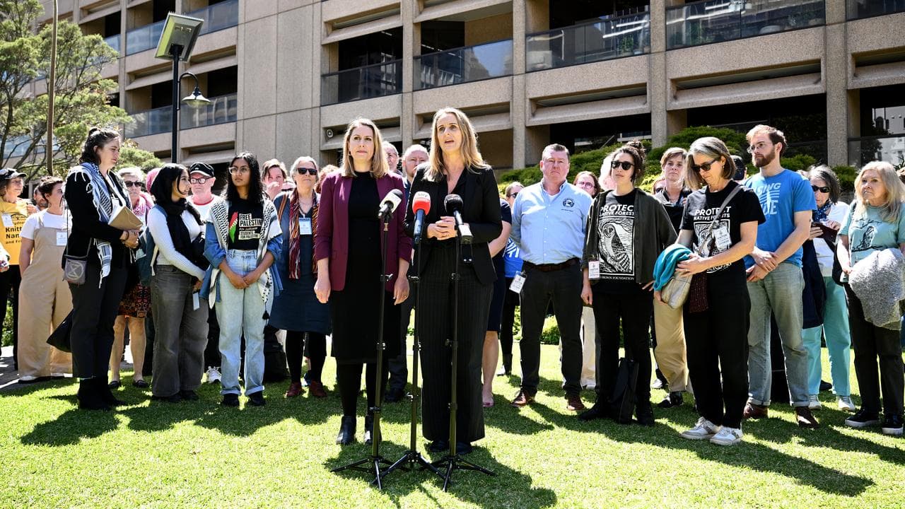NSW Greens MP Sue Higginson speaks to media
