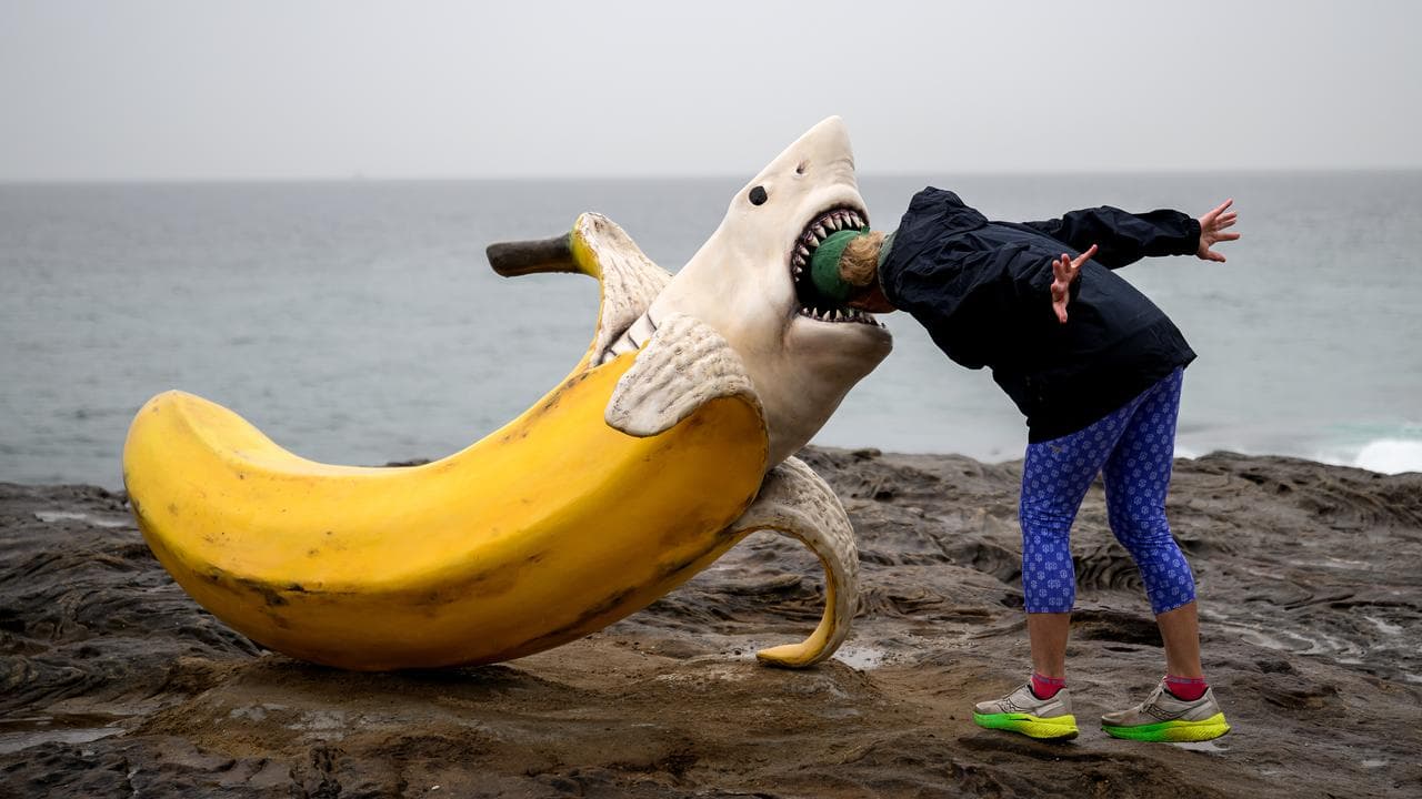 A member of the public puts her head in Drew McDonald’s Sharnana