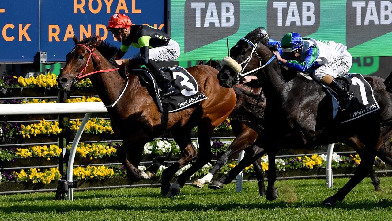 Think About It beats I Wish I Win in the 2023 Everest.