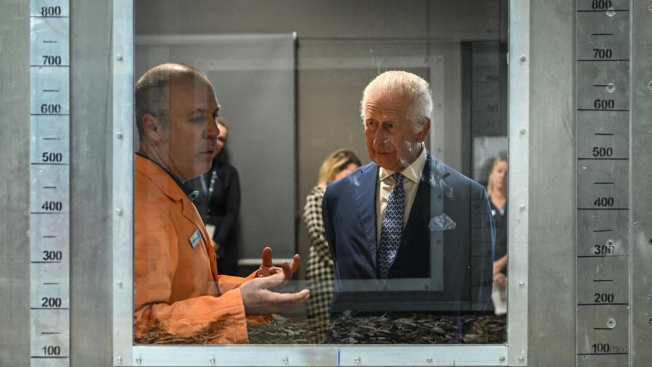 Matt Plucinski and King Charles