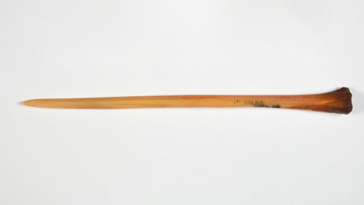 A Marrapirnti (nosebone)