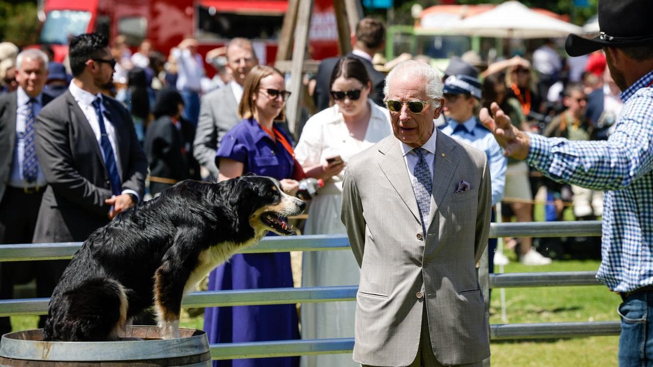 King Charles III views a sheep dog
