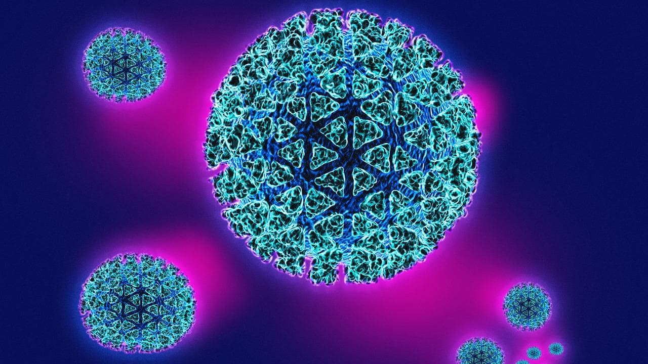 Close up view of the hepatitis B virus.