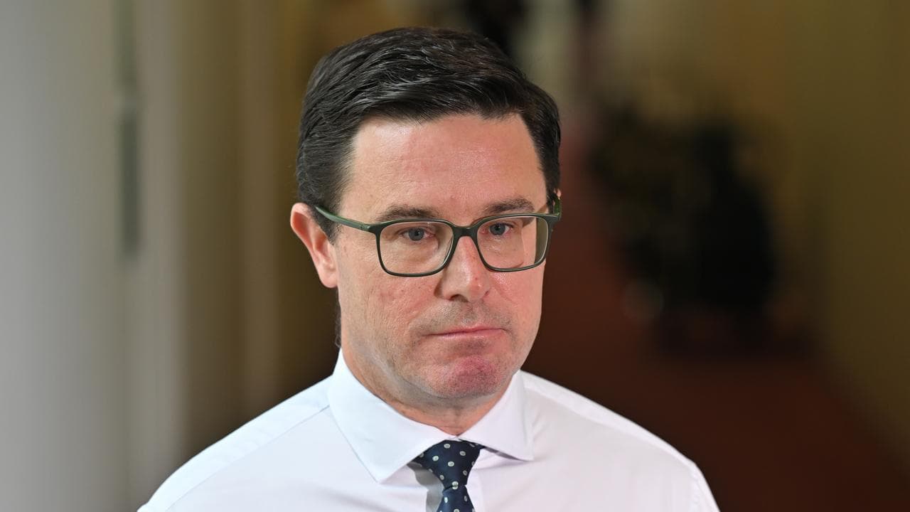 Federal Nationals leader David Littleproud (file image)