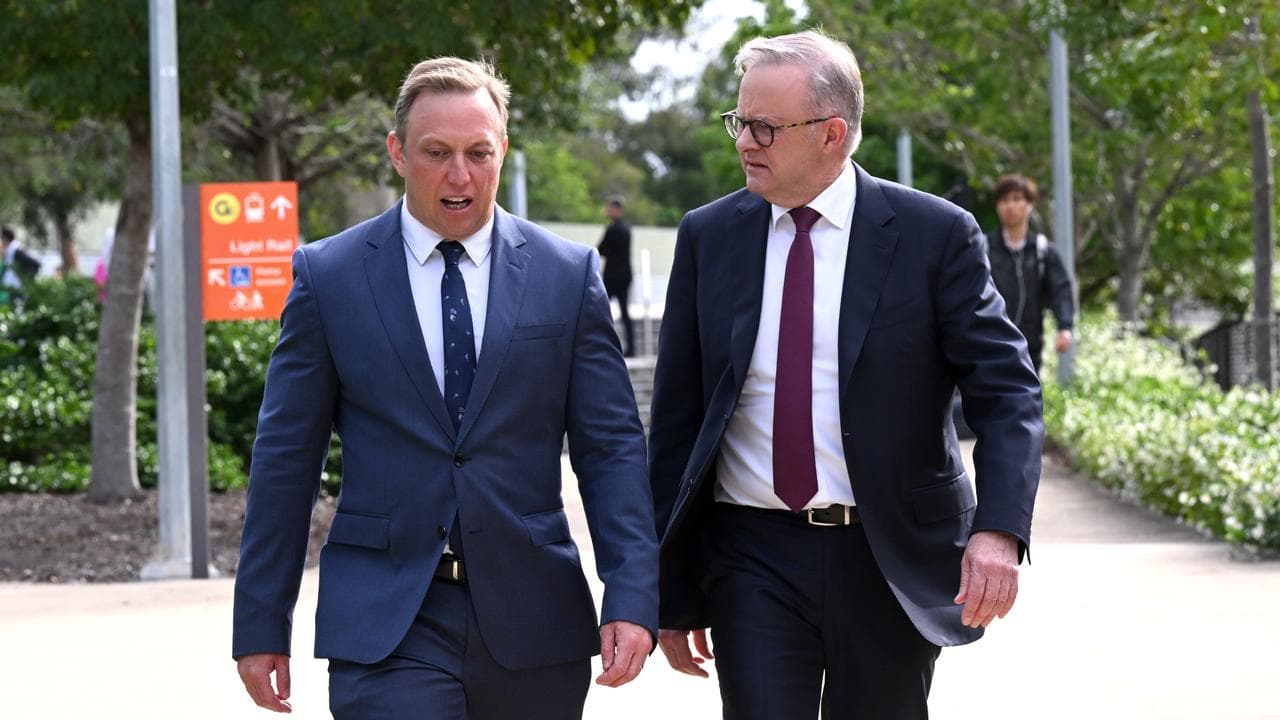 Steven Miles and Anthony Albanese (file image)