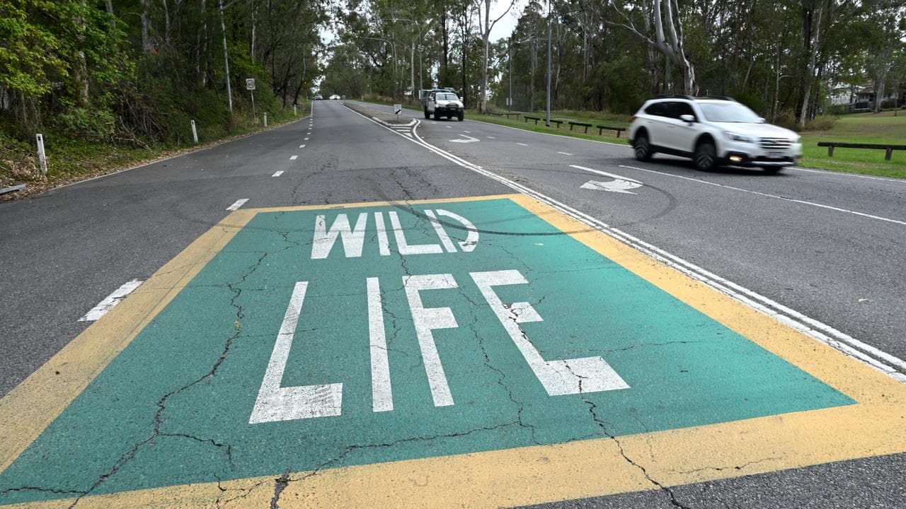A sign warning motorists to be vigilant while driving through bushland