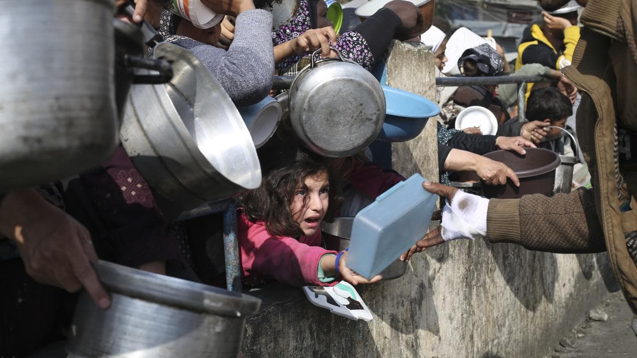 Palestinians line up for free food