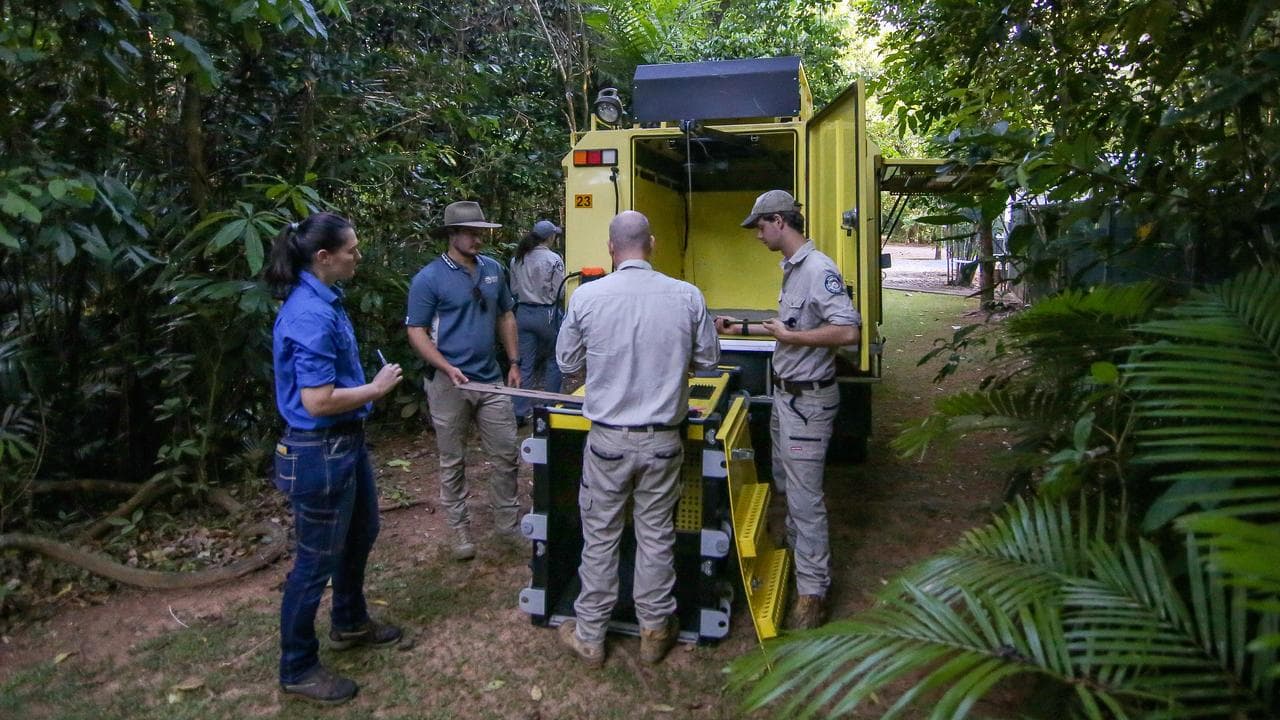 Wildlife officers release a bird