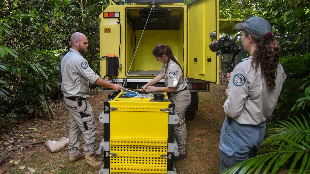 Wildlife carers release a bird 