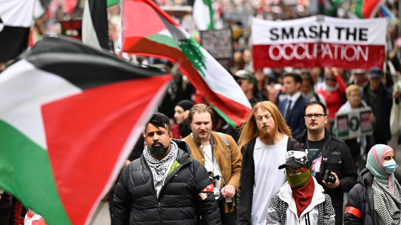 Pro-Palestine protesters
