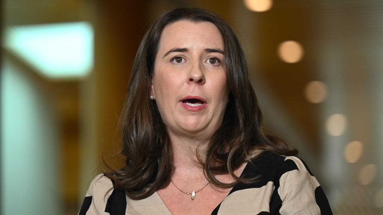 AMA President Dr Danielle McMullen speaks to the media