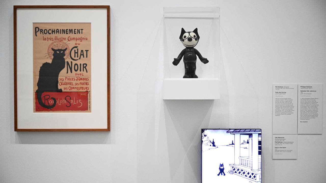 Artworks at Cats & Dogs, an NGV exhibition