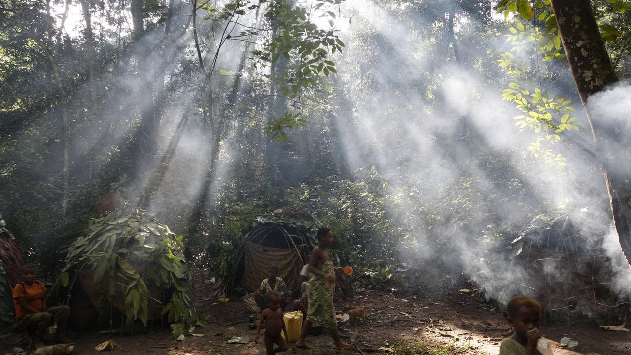 A pygmy camp in Okapi Wildlife Reserve in Congo.