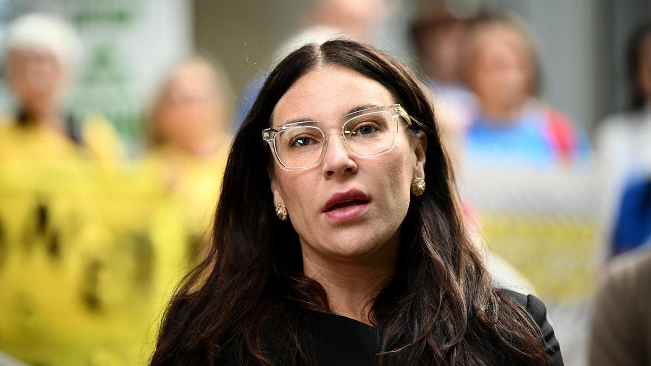 Council for Civil Liberties Vice President Lydia Shelly