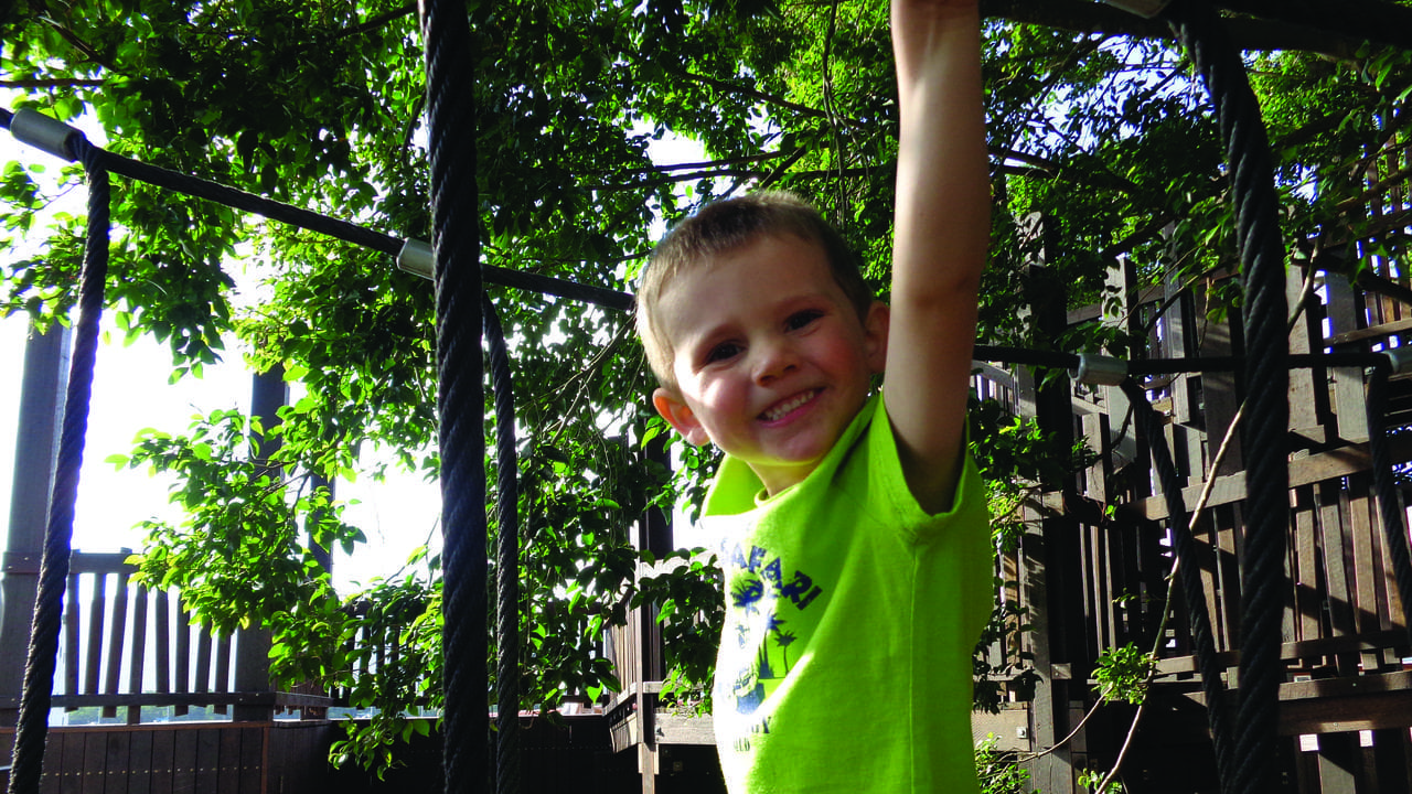 William Tyrrell (file image)