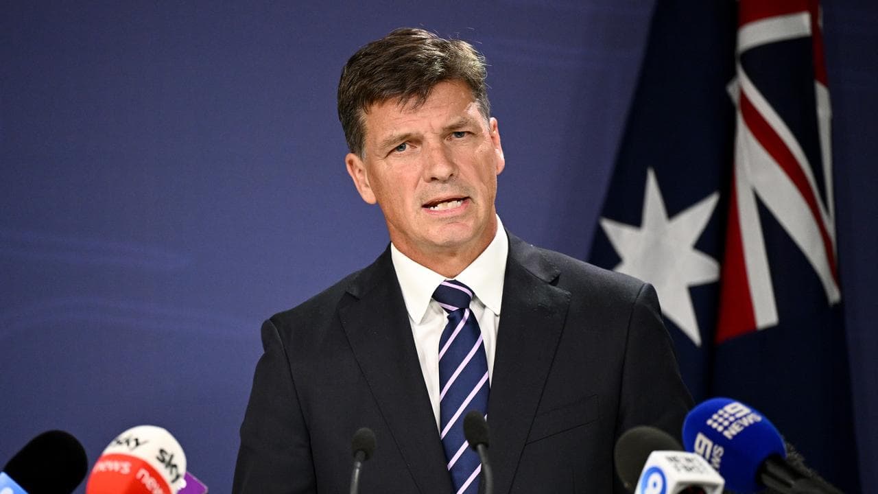Shadow Treasurer Angus Taylor (file image)