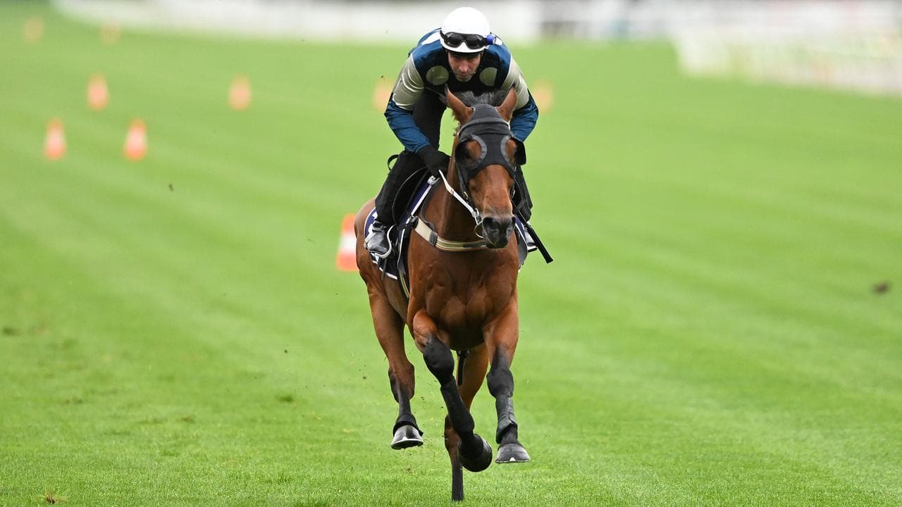Steven Arnold rides Melbourne Cup second-favourite Buckaroo.