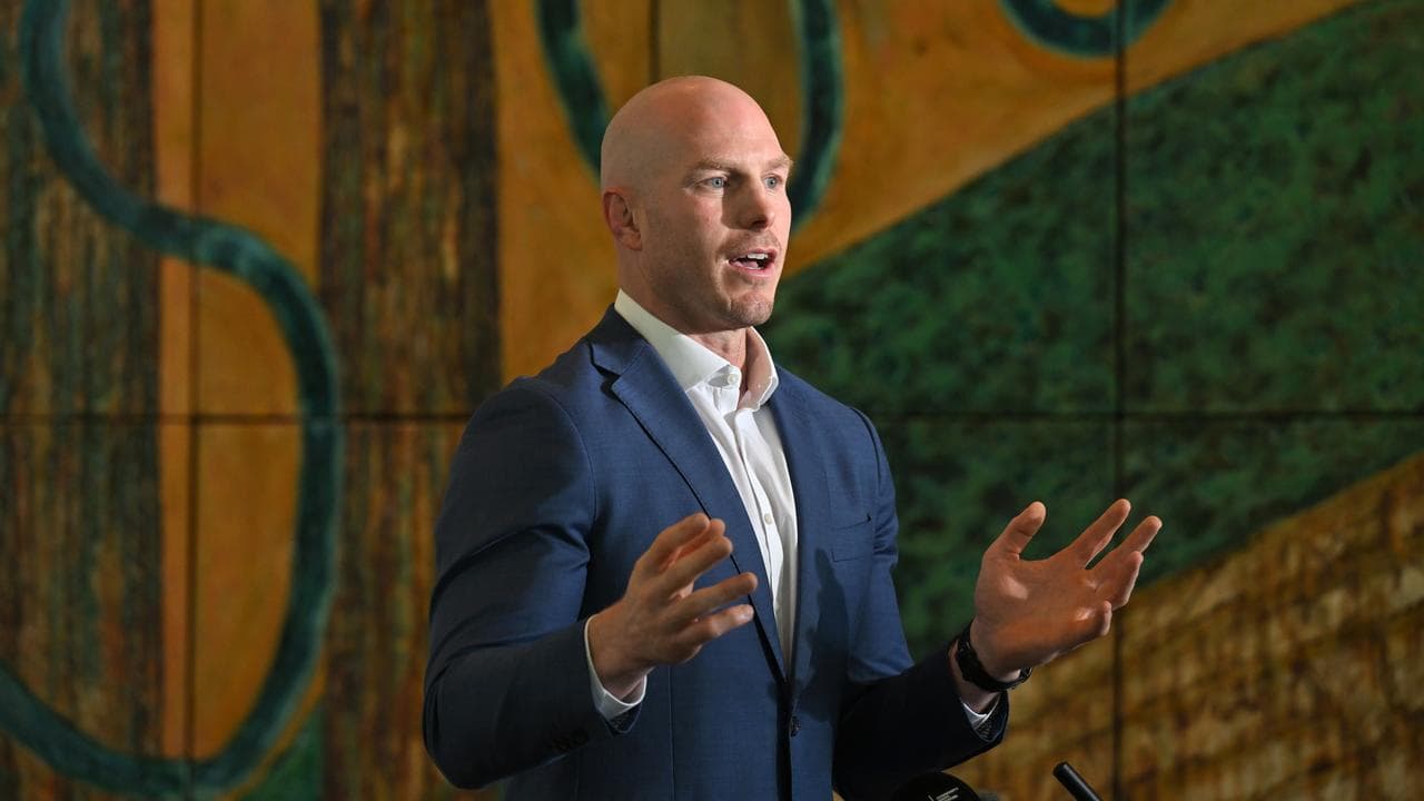 Independent senator David (file image)