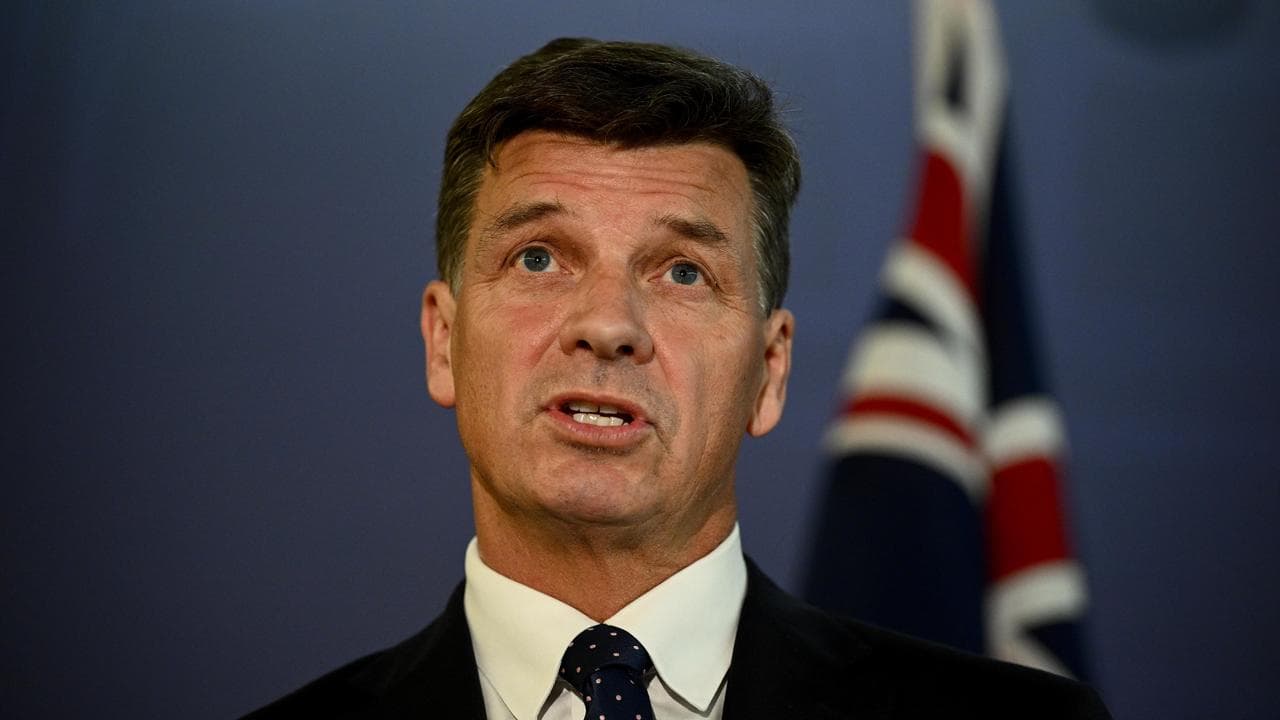 Shadow Treasurer Angus Taylor (file image)