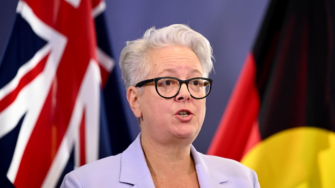 NSW Environment Minister Penny Sharpe (file image)