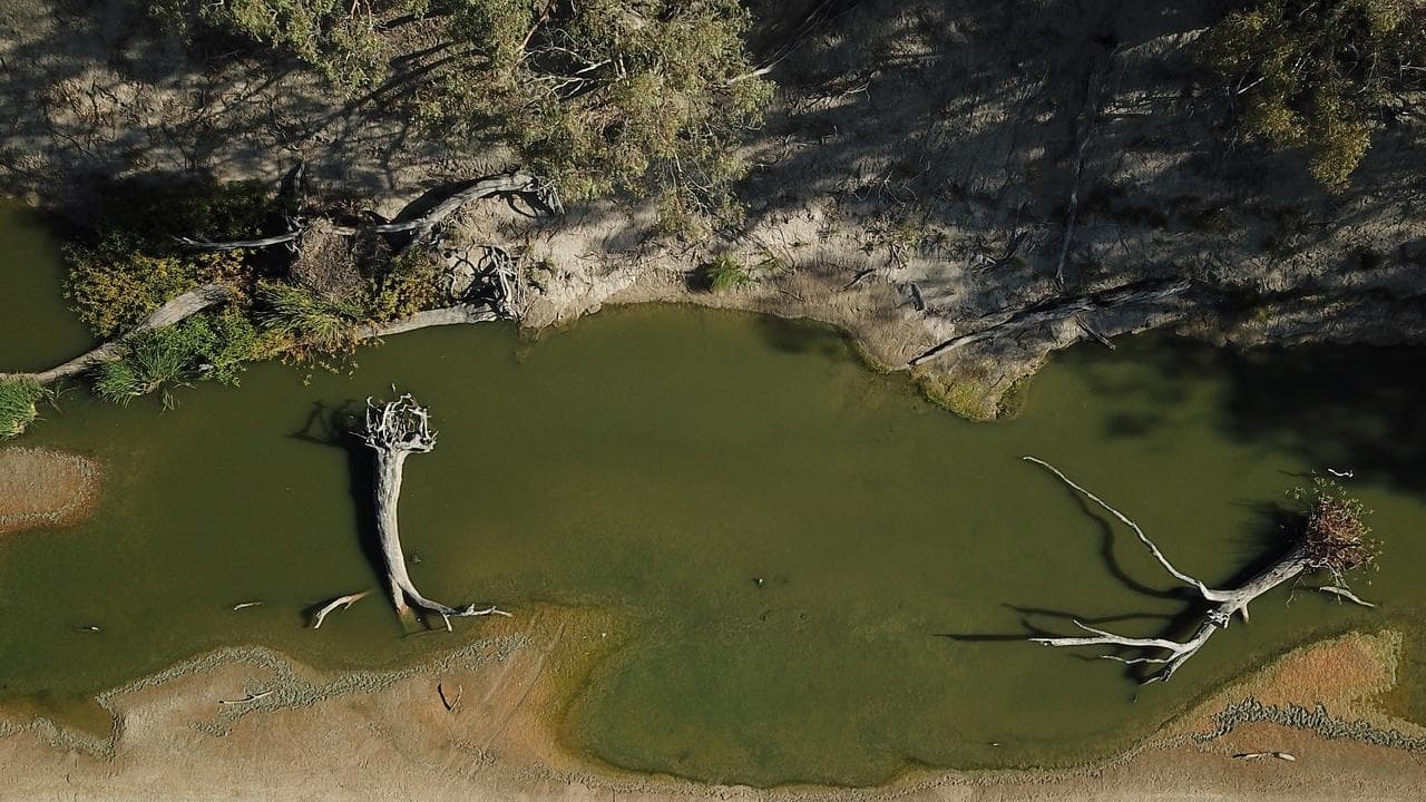 The Darling River (file image)