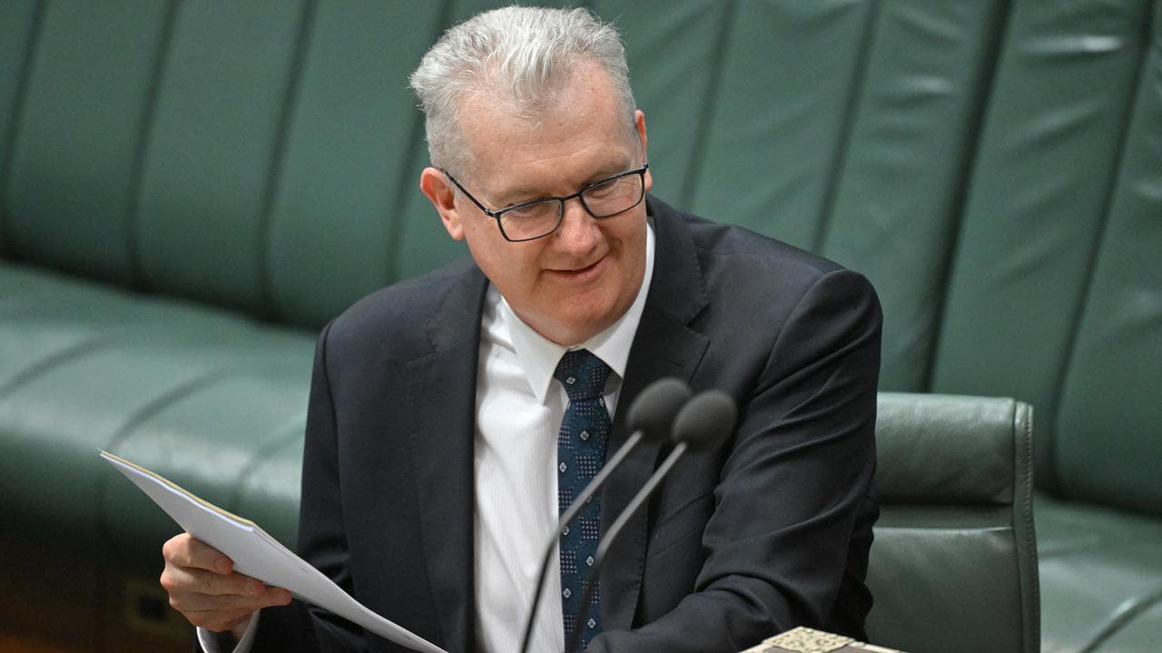 Immigration Minister Tony Burke