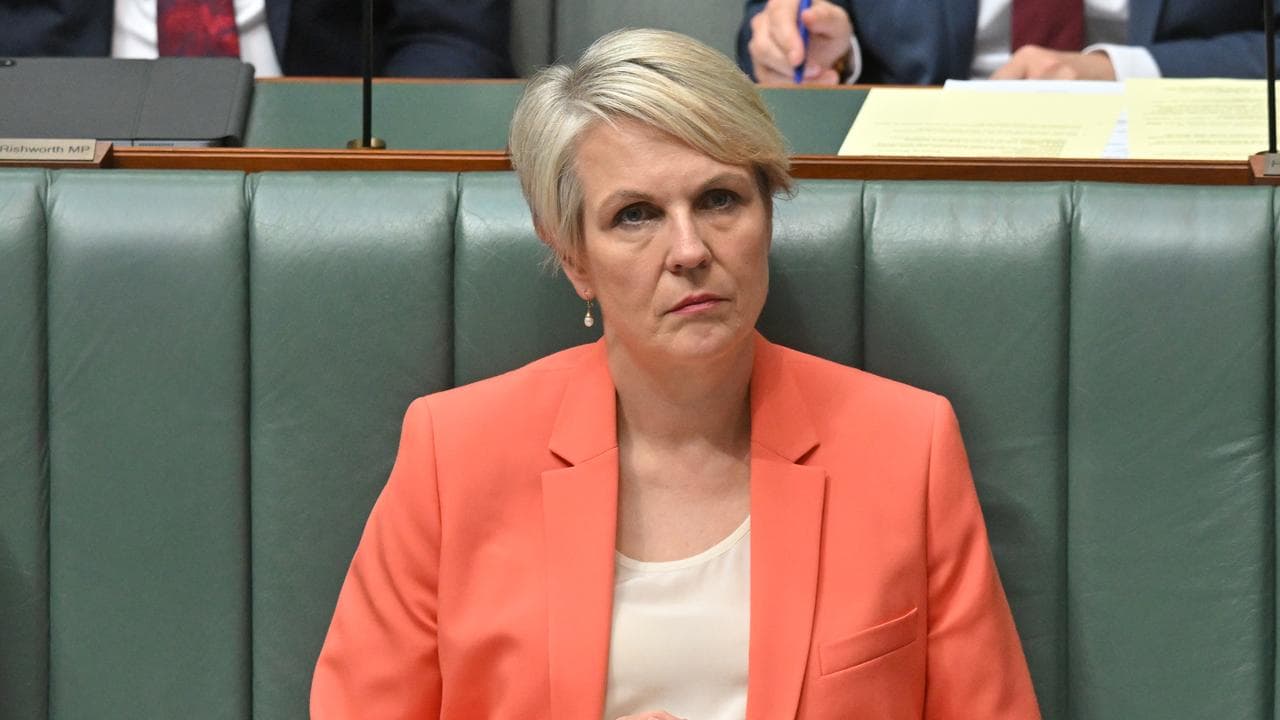 A file photo of Tanya Plibersek