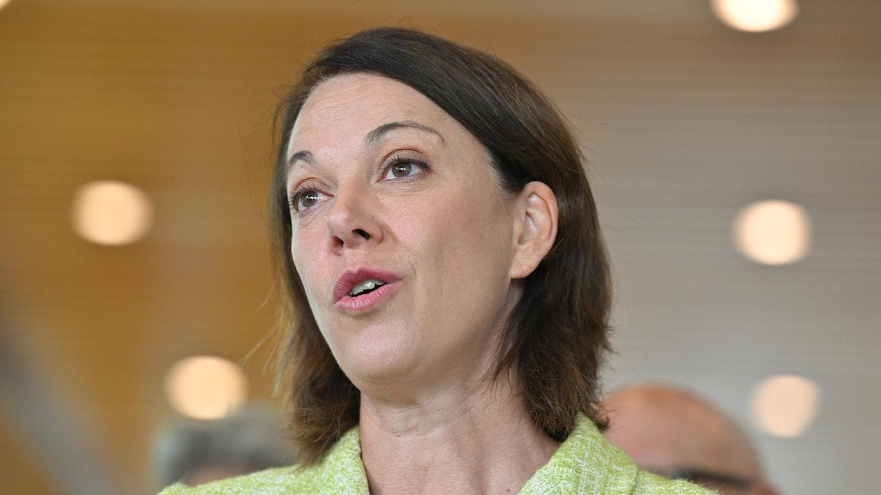 Independent member for Mackellar Sophie Scamps (file image)